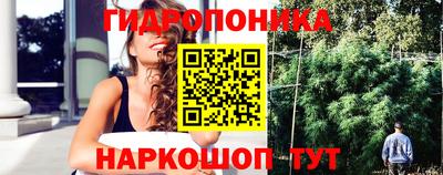 сатива Северобайкальск
