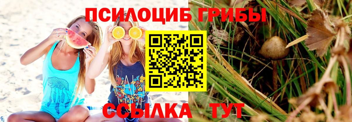 Галлюциногенные грибы мицелий Маркс