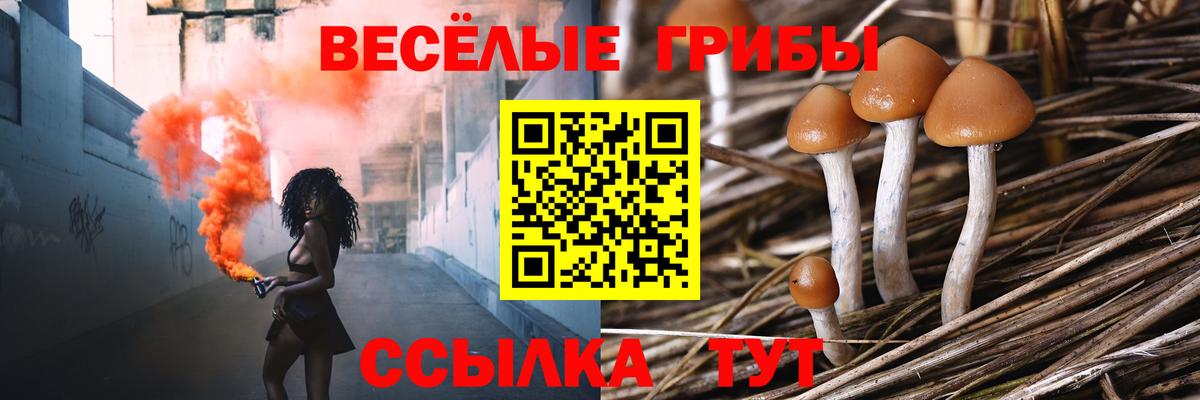 Галлюциногенные грибы MAGIC MUSHROOMS  Псилоцибиновые грибы ЛСД  Маркс  Вход с VPN 